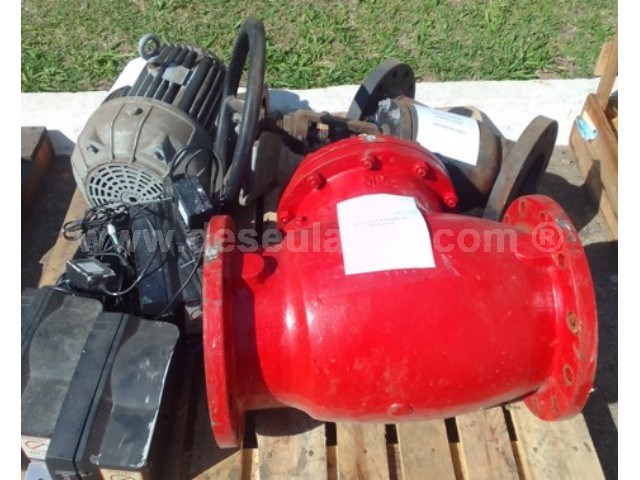 02/25110 - 01 VÁLVULA RETENÇÃO 10" MP; 01 MOTOR BÚFALO 7,5 CV E OUTROS