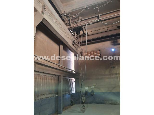 214/25137 - PONTE ROLANTE M/PHB, DUPLA VIGA, CAPAC. 5 TONS. (RV 975)