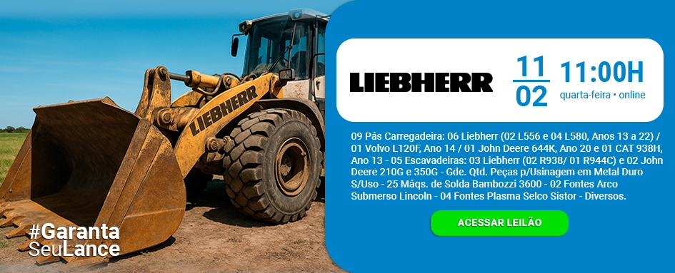 Leilão de máquinas pesadas